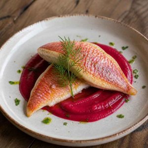 Ricette con triglia light - Filetti di triglia con crema di barbabietola